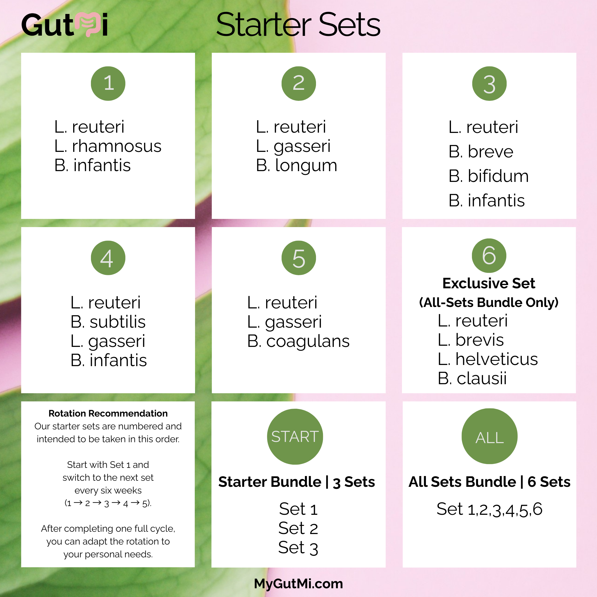 GutMi | L. reuteri + L. rhamnosus + B. infantis | Yogurt Starter Set | Happy Gut | Starter Cultures | Pack of 3